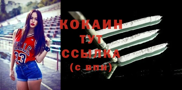 первитин Няндома