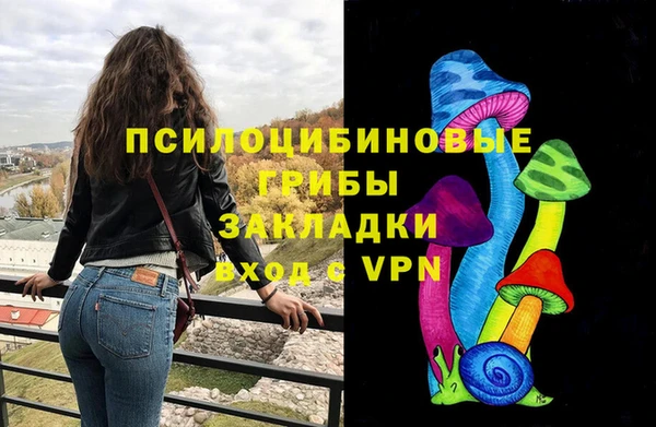 первитин Няндома