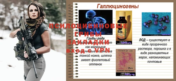 хмурый Нязепетровск