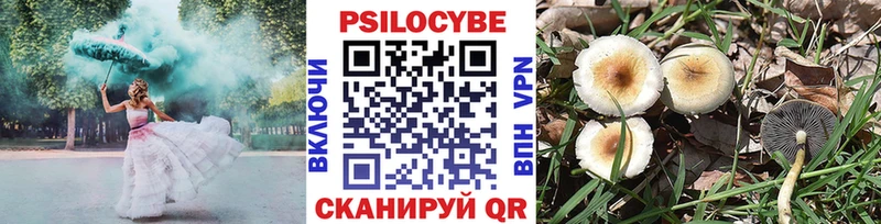 Галлюциногенные грибы Magic Shrooms Купить закладки Шелехов